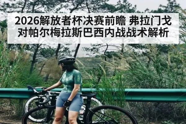 2026解放者杯决赛前瞻 弗拉门戈对帕尔梅拉斯巴西内战战术解析